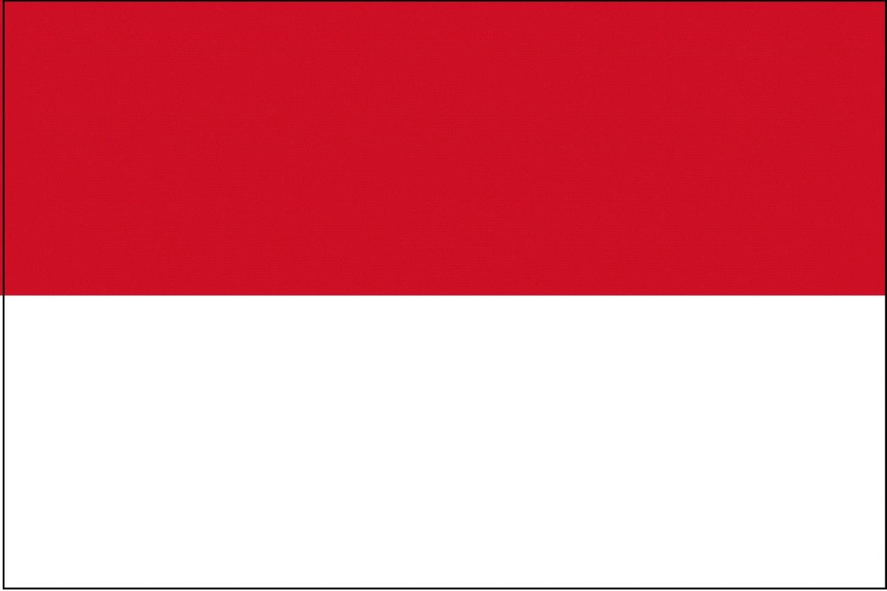 علم دولة أندونيسيا